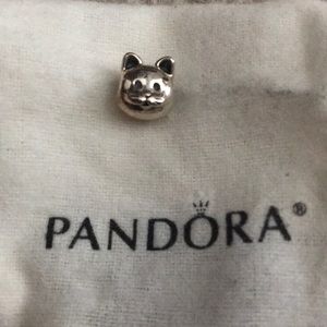 Pandora cat charm